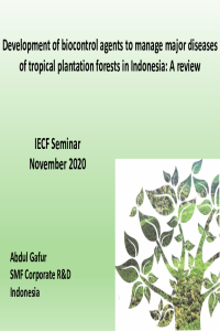 Abdul Gafur_IECF Presentation_202011.pdf