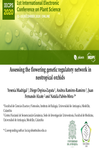 Madrigal et al _Template_slides_Sciforum_2020.pdf