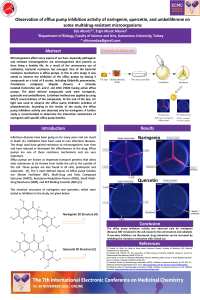 Eda Altınöz poster_053382.pdf