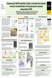 Engineering NADPH-toxins Conference.pdf