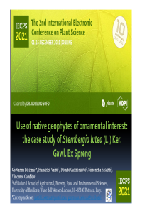 Presentazione Sternbergia Potenza et al IEPCS 2021 1-15 dec_2.pdf