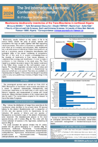 Dr. Mimoune SOUNA_IECD2024_Diversity.pdf