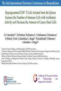 Presentation of SkurikhinE.pdf
