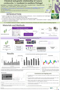 Poster_IECPS_Paulino, A..pdf