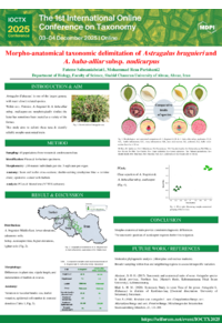 146164_[IOCTX2025]_Poster'.pdf