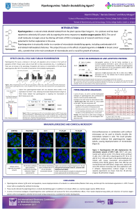 ecmc-3-Poster_piperlongumine.pdf