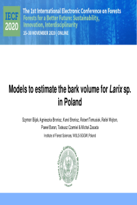 Bijak etal-presentation.pdf