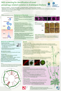 Sieńko_et al_Poster.pdf