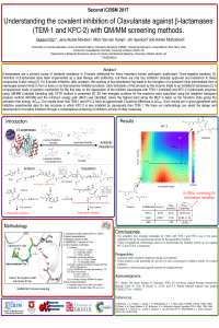 iCBSM2017_RFritz.pdf