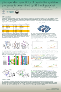 poster_mdpi.pdf