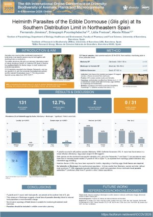 poster image