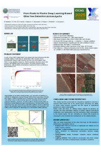 iocag_2025_poster_olive_trees_ester_pantaleo_22_oct_2025.pdf