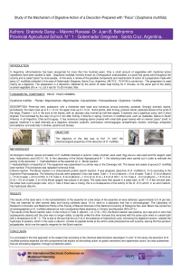 Study of the Mechanism of Digestive Action of a Decoction Prepared with “Paico” (Dysphania multifida).pdf