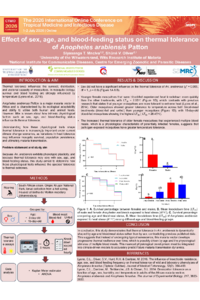 Poster_STMnciva.pdf