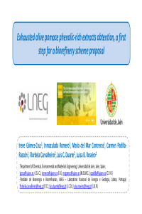 Irene Gómez_Presentation.pdf