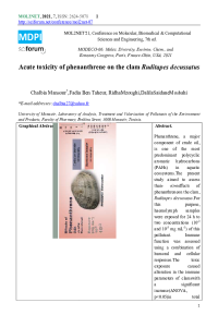 conference Chalbia Mansour.pdf