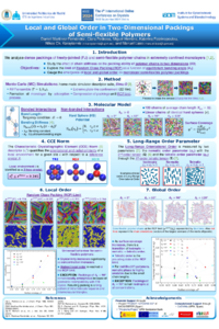 Poster_2D-SF_IOCC2024_DMF.pdf