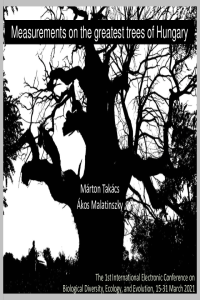 Takacs-Malatinszky slides.pdf