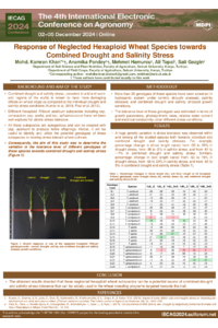 MKK IECAG Poster.pdf