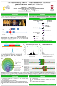 Hernandez_Bairon_iCBSM.pdf
