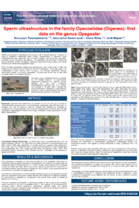 sciforum-160928 Srisupaph Poonlaphdecha.pdf