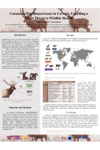 poster_deer papiloma.pdf