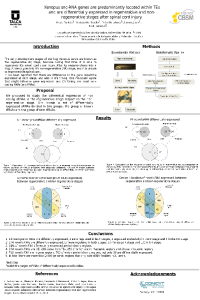 poster_90x120_CBSM.pdf