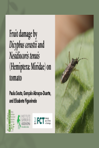 IECE_proceedings-presentation-PaulaSouto.pdf