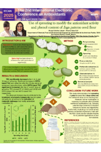 correct sciforum-114171 poster.pdf