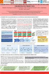 ECP2023_Poster_Paula_Ana_Sugarcane bagasse.pdf