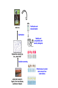 Graphical Abstract_MOL2NET_1_2020.pdf