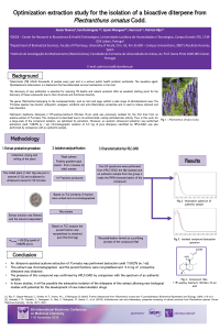 presentation.pdf