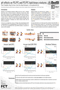 ejibce2018_poster_prmagalhaes.pdf