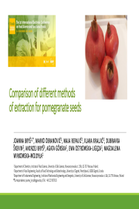 J. Bryś presentation_08.11.pdf