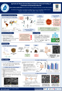 IOCBE 2024_poster_sciforum-097158.pdf