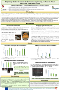 Poster _Exploring the involvement of Alternative respiratory pathway in Pisum sativum L. seed germination _Lénia Rodrigues.pdf