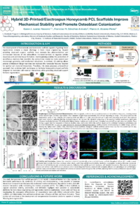sciforum-175102.pdf