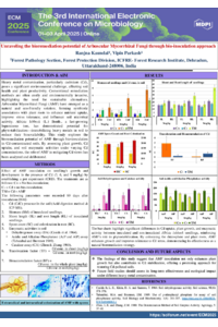 Poster (ECM, 2025).pdf