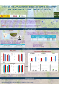 Poster MDPI_ACD.pdf