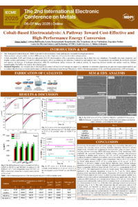 sciforum-119493 huma amber.pdf
