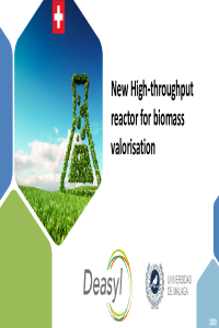 Deasyl-ECCS2020-slides.pdf