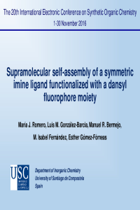 ECSOC20-Maria J Romero presentation.pdf