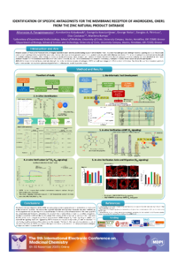 9th-ECMC_Poster_Panagiotopoulos.pdf