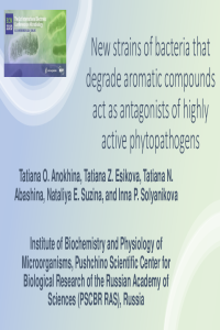 Anokhina et al_Presentation.pdf