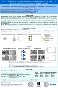 sciforum-107669-poster.pdf