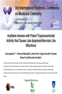 Presentation Virtual Congress.pdf