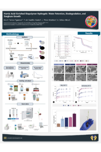 sciforum25-1.pdf