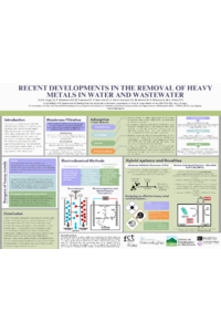 ECP 2024 – Confirmed Poster for Gallery - sciforum-090566.pdf