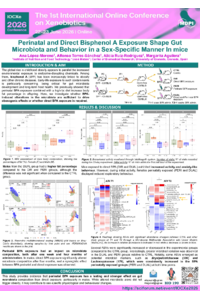 Poster - Ana.pdf