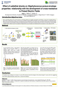 Laura Nadal POSTER.pdf